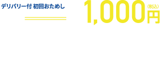 洗濯代行デリバリーキャンペーン